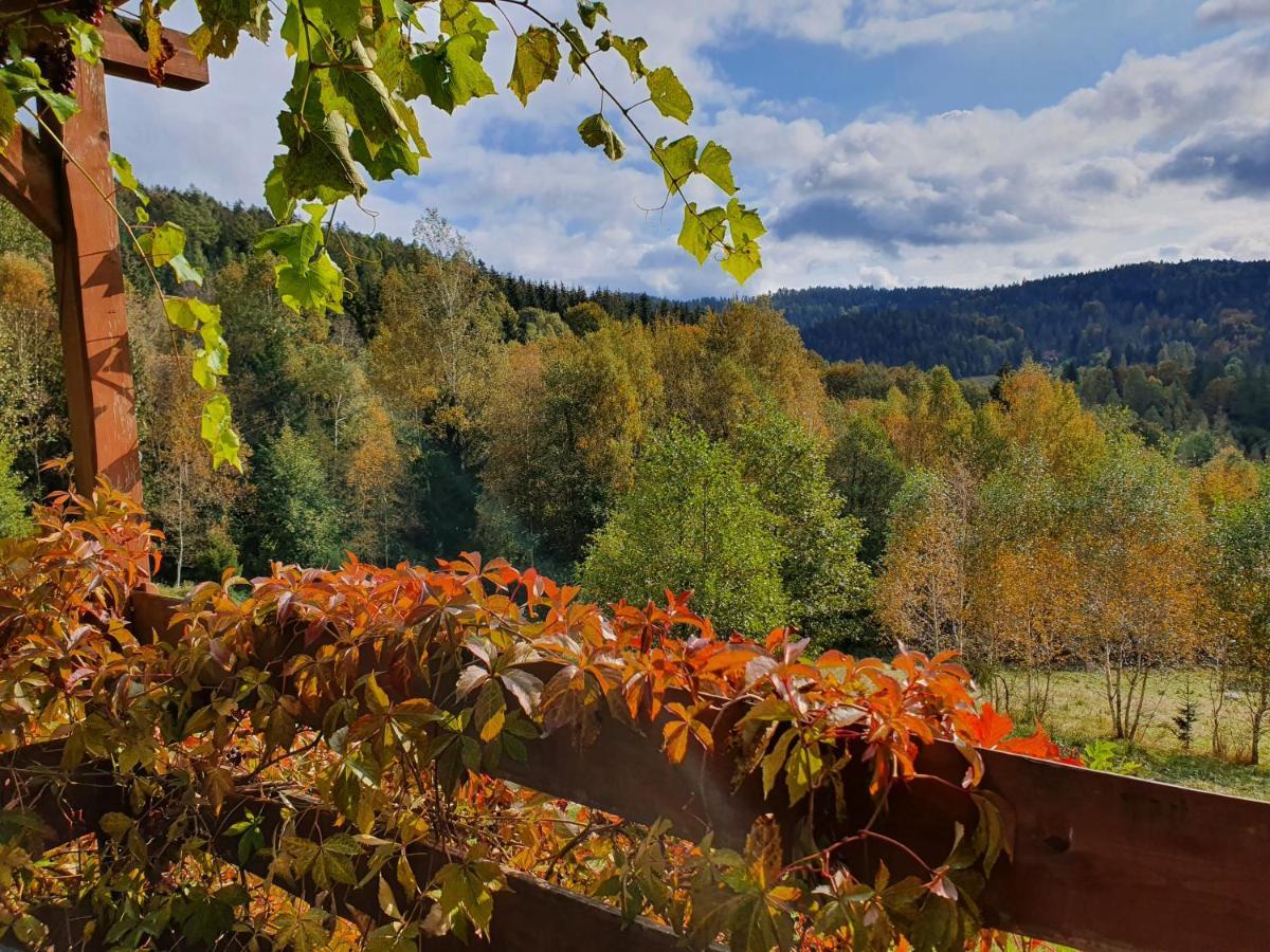 Ksiezycowa Dolina Apartment Ladek-Zdroj Bagian luar foto