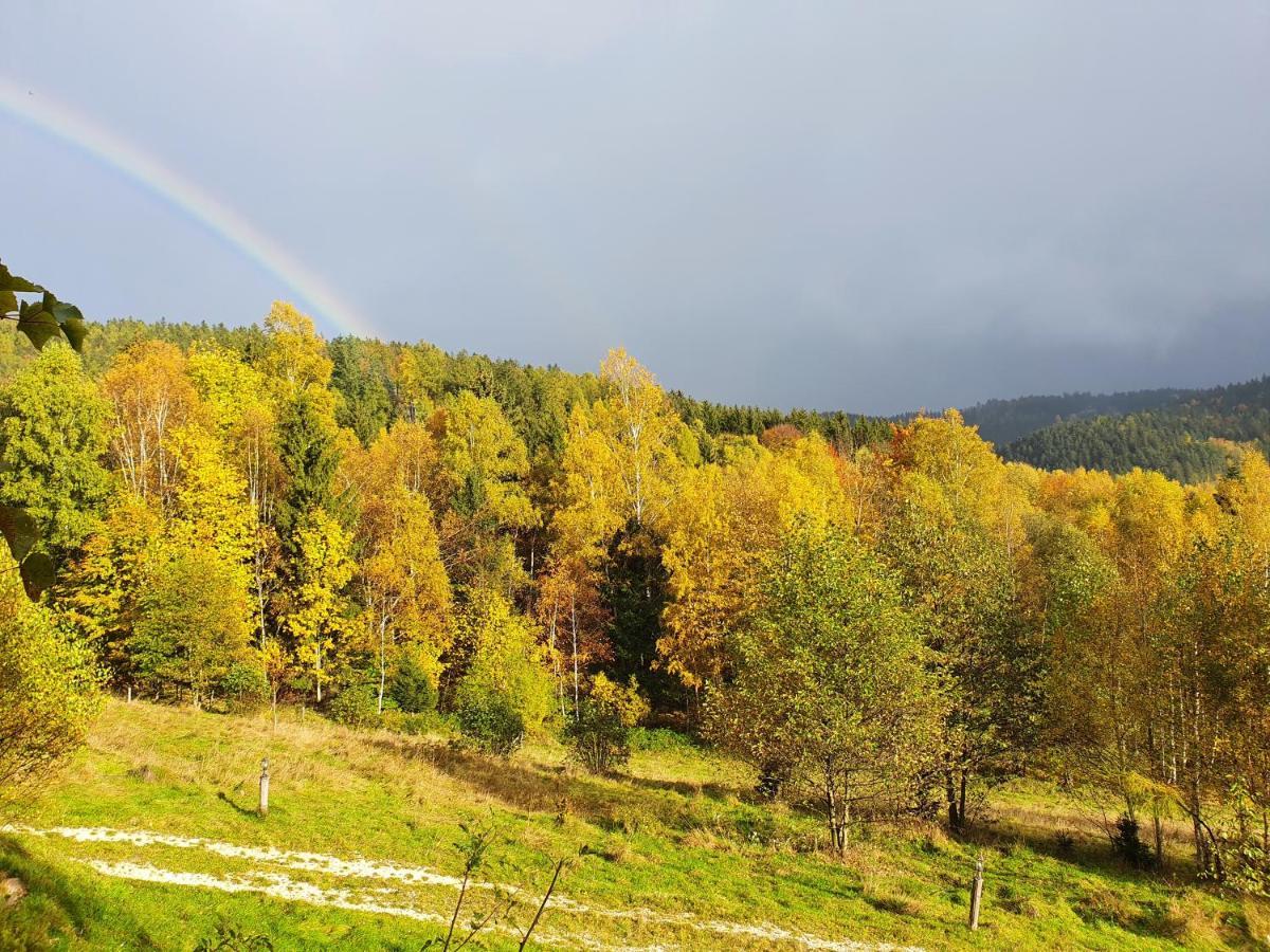 Ksiezycowa Dolina Apartment Ladek-Zdroj Bagian luar foto