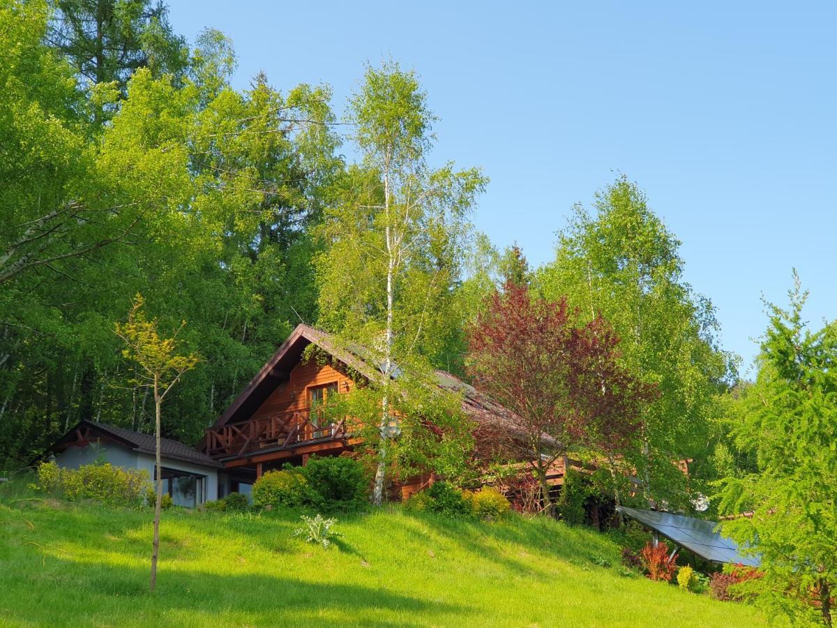 Ksiezycowa Dolina Apartment Ladek-Zdroj Bagian luar foto